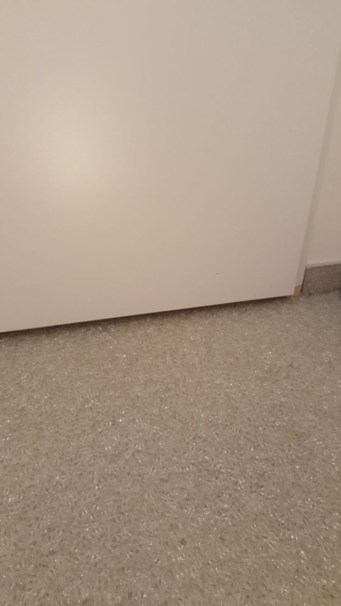 Stone Idea - Kamenné dlažby a obklady, dekorace z přírodního kamene - Skleneny koberec