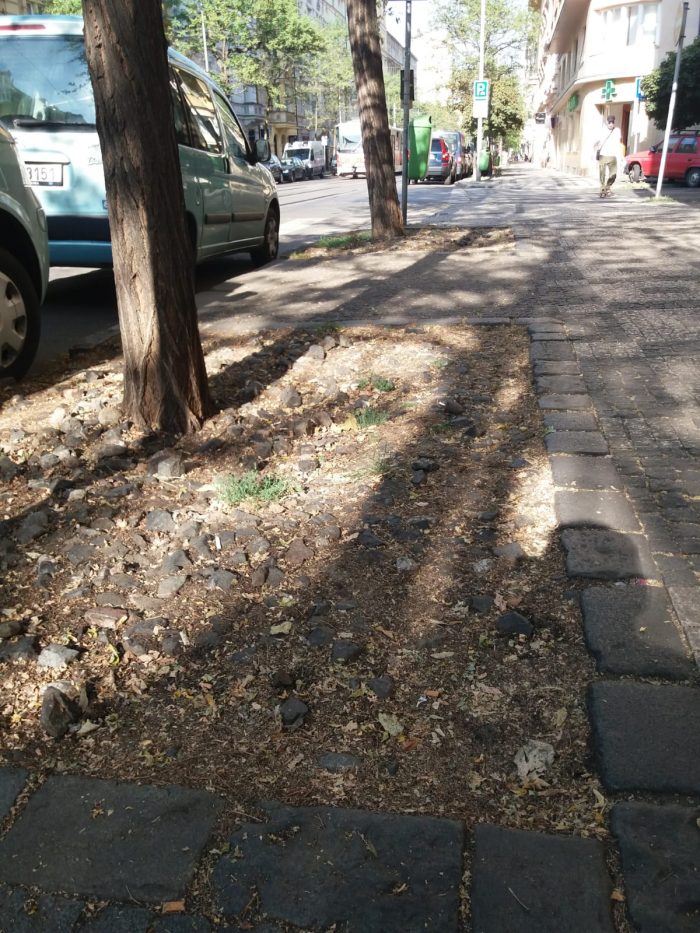 Stone Idea - Kamenné dlažby a obklady, dekorace z přírodního kamene