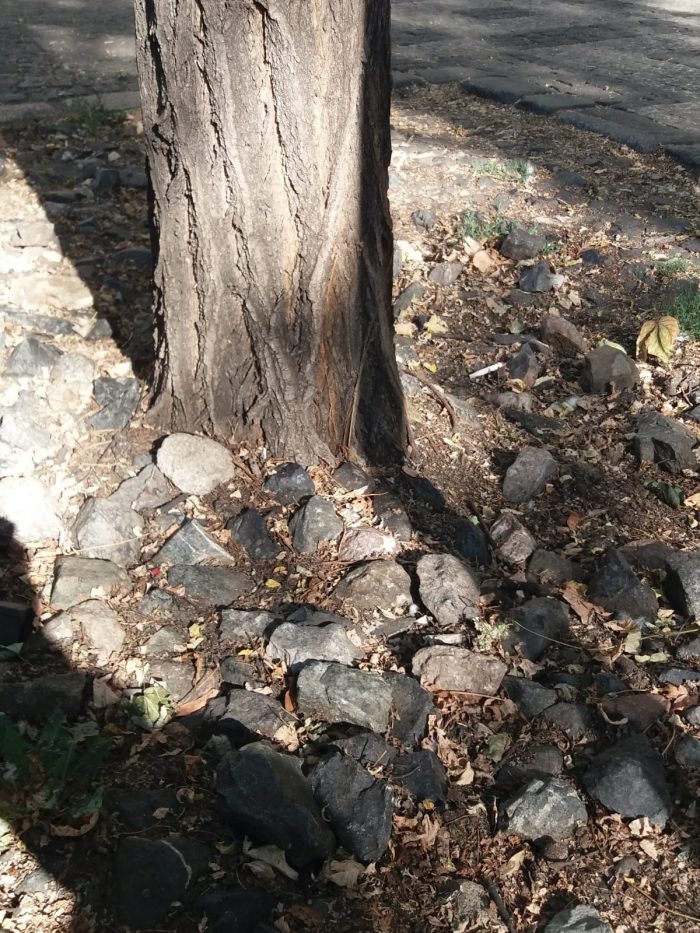 Stone Idea - Kamenné dlažby a obklady, dekorace z přírodního kamene