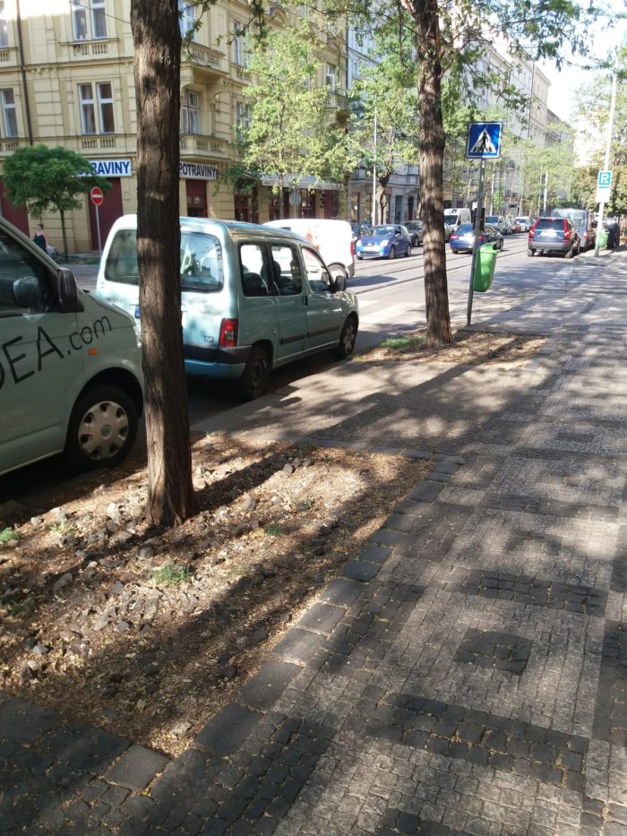 Stone Idea - Kamenné dlažby a obklady, dekorace z přírodního kamene